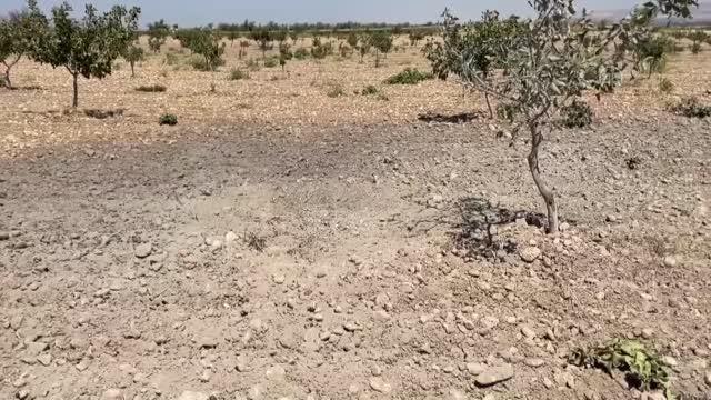 Gaziantep haberi! GAZİANTEP - Terör örgütü YPG/PKK Karkamış ilçesine havan mermisi attı