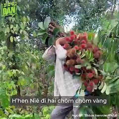 Thuỳ Tiên và dàn Hoa hậu Việt nổi tiếng giản dị | Điện Ảnh Net