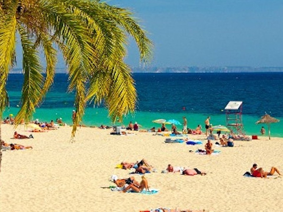 Fäkal-Alarm an Mallorcas Stränden: Diese Regionen sind betroffen