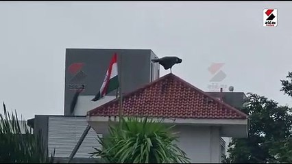 છત પર લહેરાતા રાષ્ટ્રીય ધ્વજ સાથે રાષ્ટ્રીય પક્ષી મોરની ઝલક