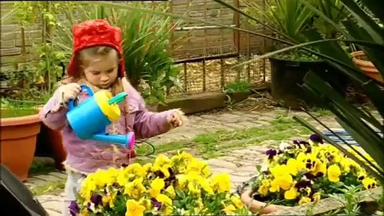 Boogie Beebies Gardening
