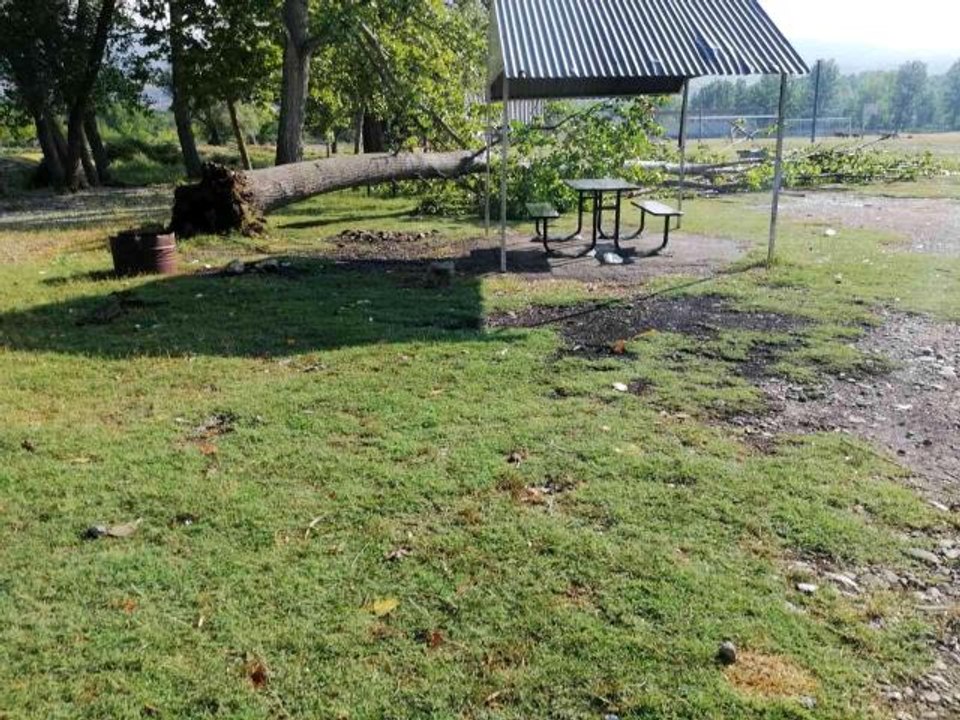 Fırtına ağaçları kökünden söktü Dailymotion Video