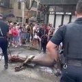 Un cheval de calèche s'effondre dans les rues de New York en pleine canicule - carré