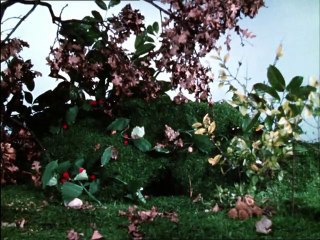 Fingerbobs (1972) - S01E13 - House - Fingermouse / Rick Jones