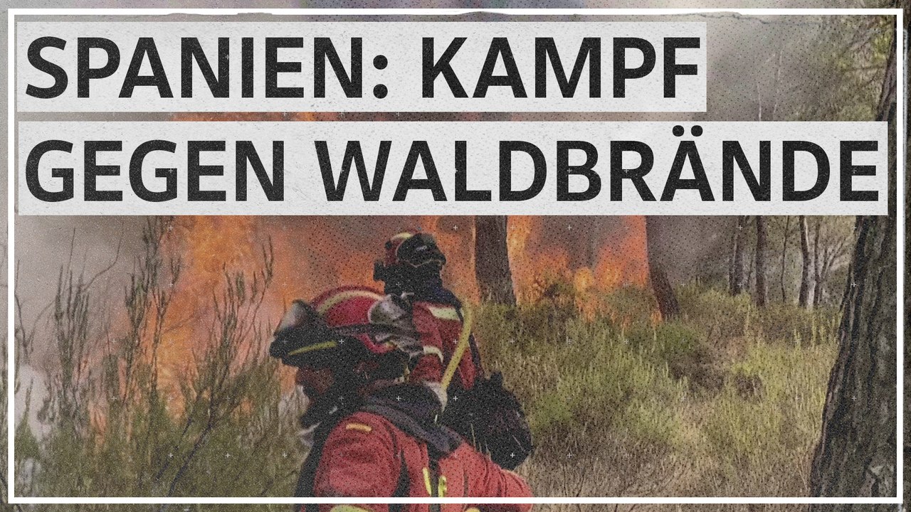Spanien: 265.000 Hektar Land durch Waldbrände zerstört