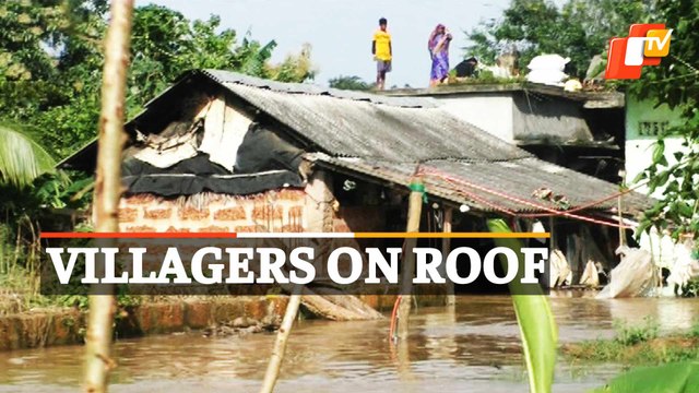 Flood In Banki, Odisha As Mahanadi Water Level Rises