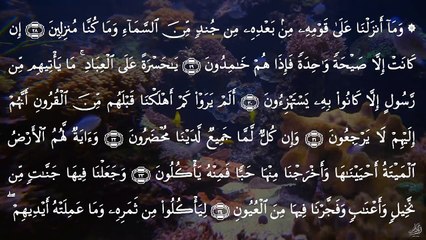 عبدالباسط عبدالصمد - سورة يس