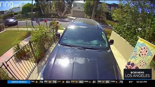 L’actrice Anne Heche souffre de graves lésions cérébrales après son accident à Los Angeles - “Elle ne survivra probablement pas”, selon son porte-parole - VIDEO