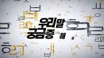 알쏭달쏭 우리말 13회