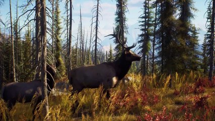 Way of the Hunter: Exciting Explanation & Trailer 🎯