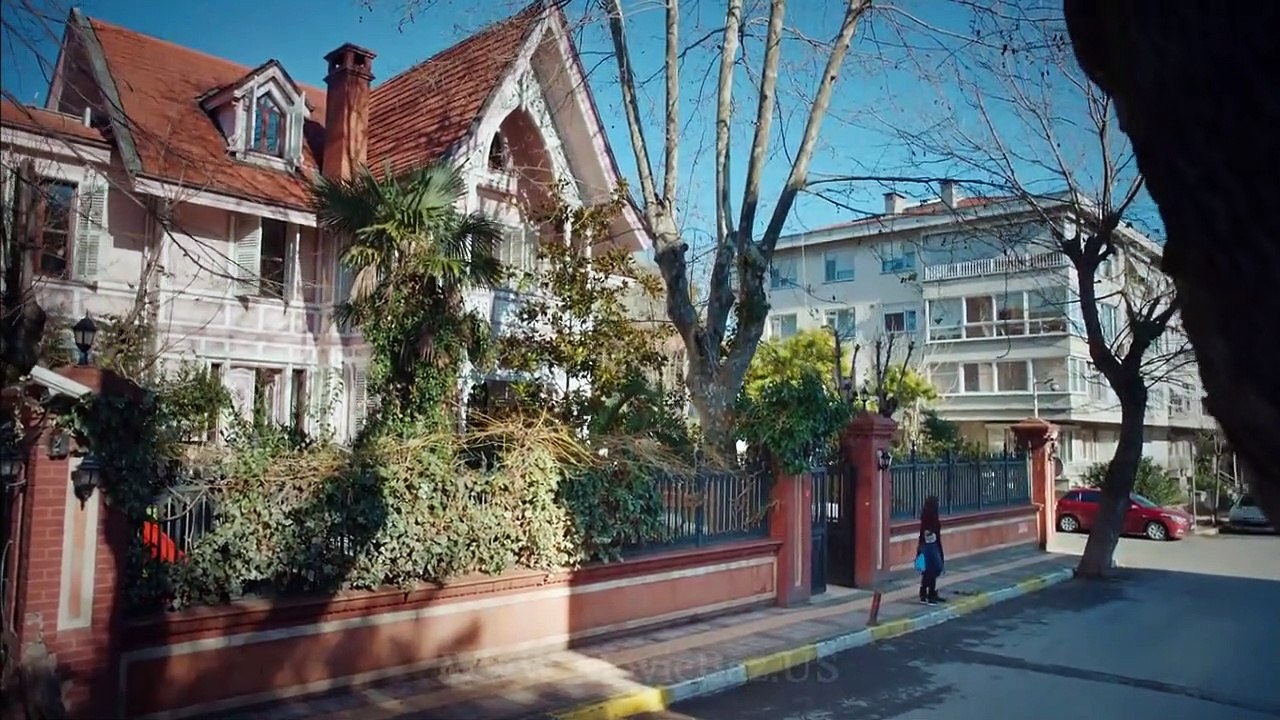 Bache-E16