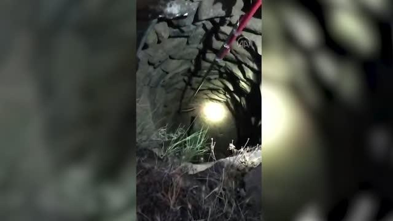 Kuyuya düşen domuz yavrusunu itfaiye kurtardı