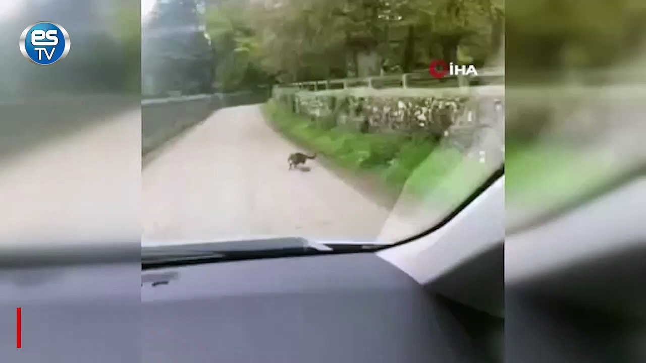 Sosyal medyayı sallayan görüntüler