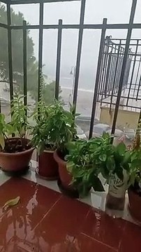 Scilla furia maltempo