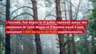 Feux de forêt : pourquoi la Gironde est plus touchée par les incendies