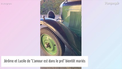 Lucile et Jérôme (L'amour est dans le pré) : Nouvelle révélation sur leur mariage imminent