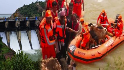Rain effect: ಸಾವು ಬದುಕಿನ ಹೊರಟದಲ್ಲಿ ಬದುಕಿದ ಕುರಿಗಳು | Oneindia Kannada