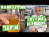 De la terre à l’assiette #6 : le miel, des ruches d'Oppède à la cuisine de Xavier Mathieu