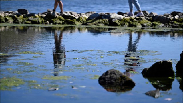 Dürre-Rekord in Deutschland seit 1881: Regen ist weiterhin nicht in Sicht