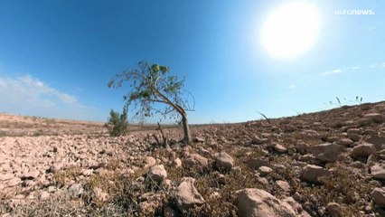 شاهد: الجفاف والتضخم يهددان الأمن الغذائي في المغرب