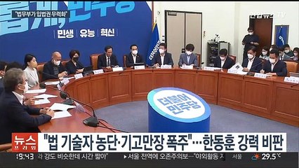 민주당 "한동훈 시행령, 법기술자 농단"…법 재개정론도 제기