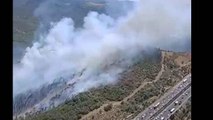 İzmir’de ormanlık alanda çıkan yangına müdahale ediliyor