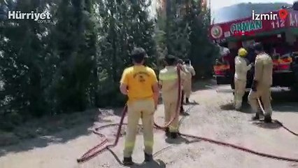 İzmir Buca'da orman yangını