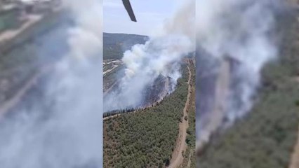 Son dakika haber! İzmir'de Orman Yangını
