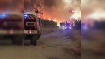 Fransa'daki orman yangını 7 bin 400 hektar alanı küle çevirdi