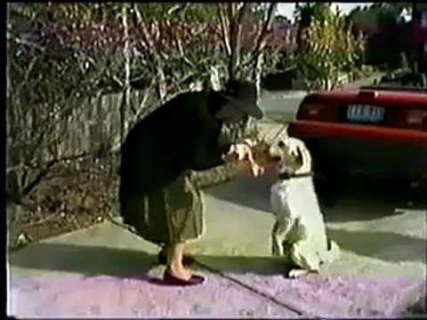 Neighbours 1314 12th August 2022