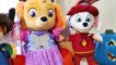 Paw Patrol Baby Pup Halloween Toy Learning Video for Kids!