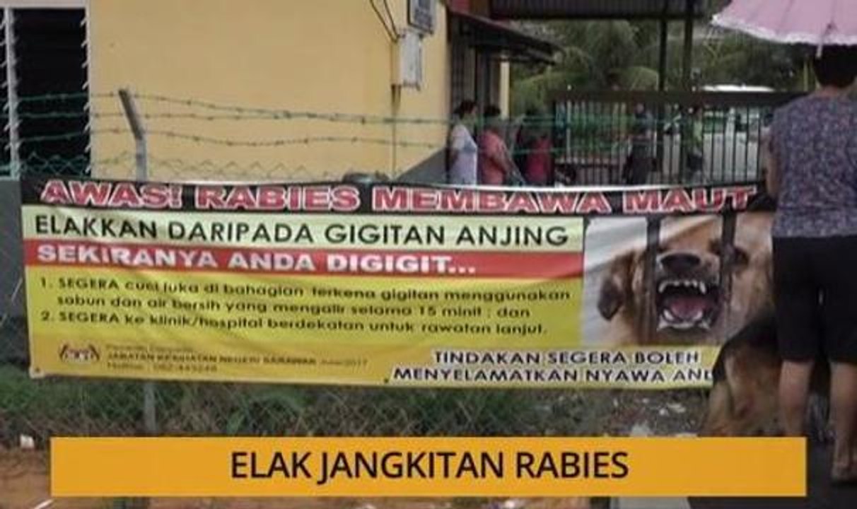 Kalendar Sarawak: Elak jangkitan rabies