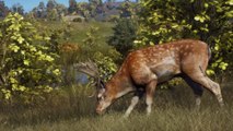6 Minuten in Way of the Hunter beweisen: Diese Open-World-Jagdsim schreibt Realismus groß
