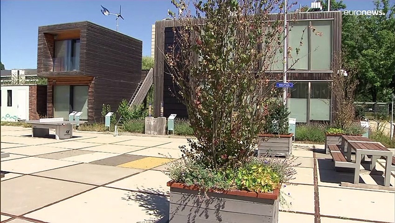 Hitzeresistente Häuser: Moosgrüne Wände und weiße Dächer