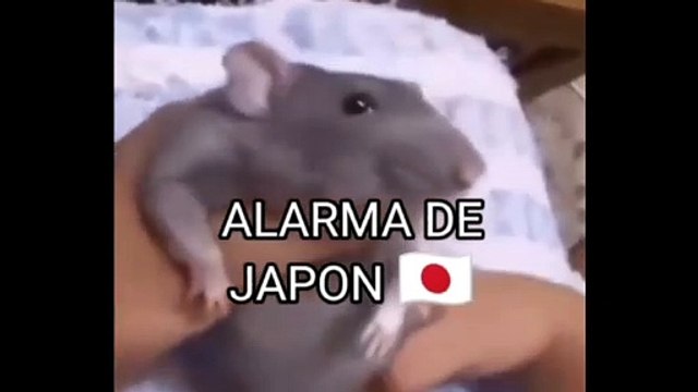 ⚠️Alarma de emergencia⚠️en varios países