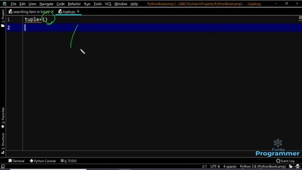 Introduction to the Tuples