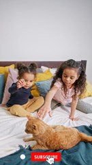 One Funny Cat  Two Girls Compilation #2 | Animals Video