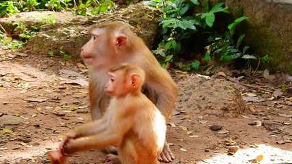 93=Mom Libby You can Give Sweet & warm in ur heart please..!!