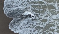 Düzce haberleri | Akçakoca sahili doğal fotoğraf stüdyosuna dönüştü