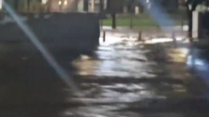 안양천 방수문 차단 지연 논란..."차량 100대 넘게 침수" / YTN