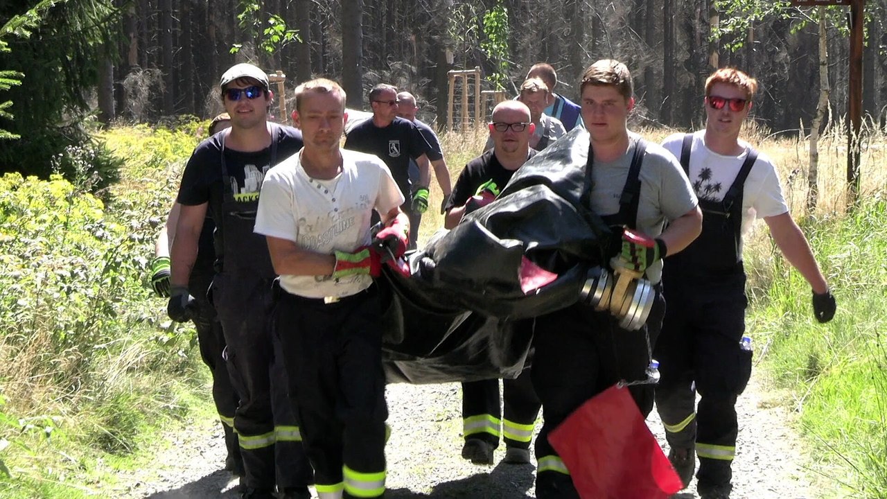 Feuer bricht im Harz aus : 200 Feuerwehrleute im Einsatz