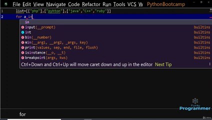 Nested Loop Using List