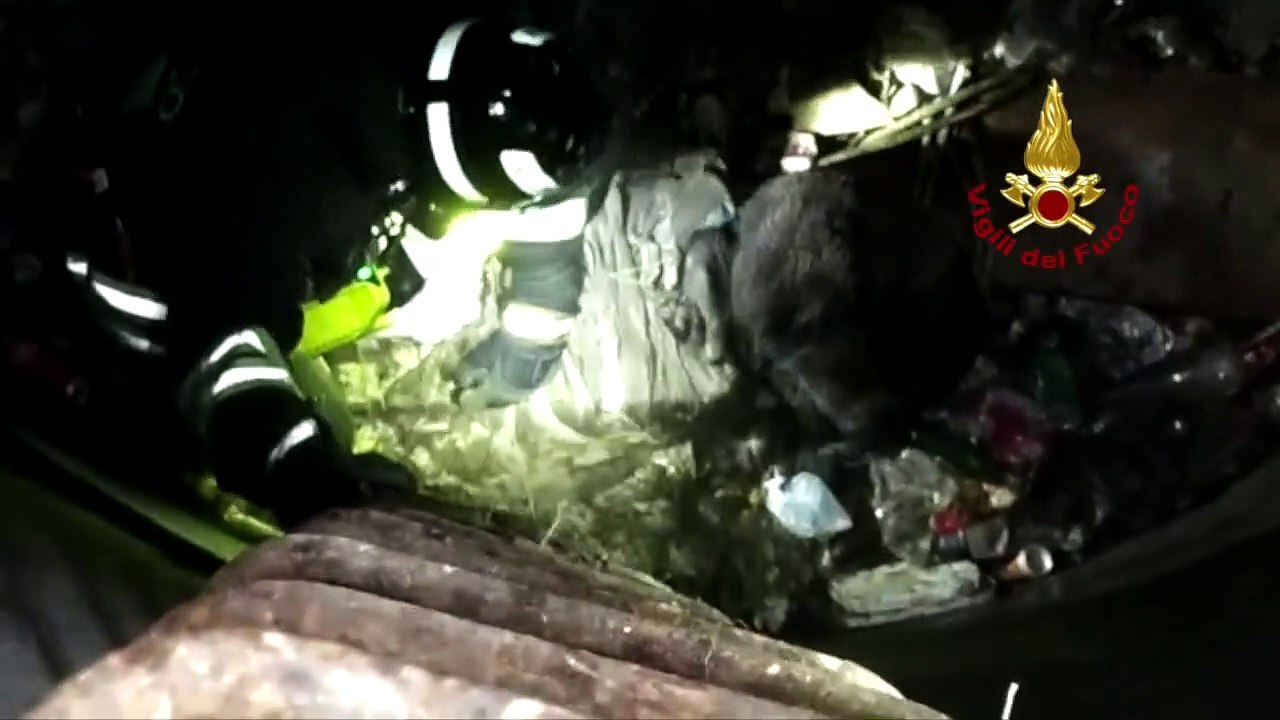 Catanzaro, i vigili del fuoco salvano un labrador caduto in un pozzo