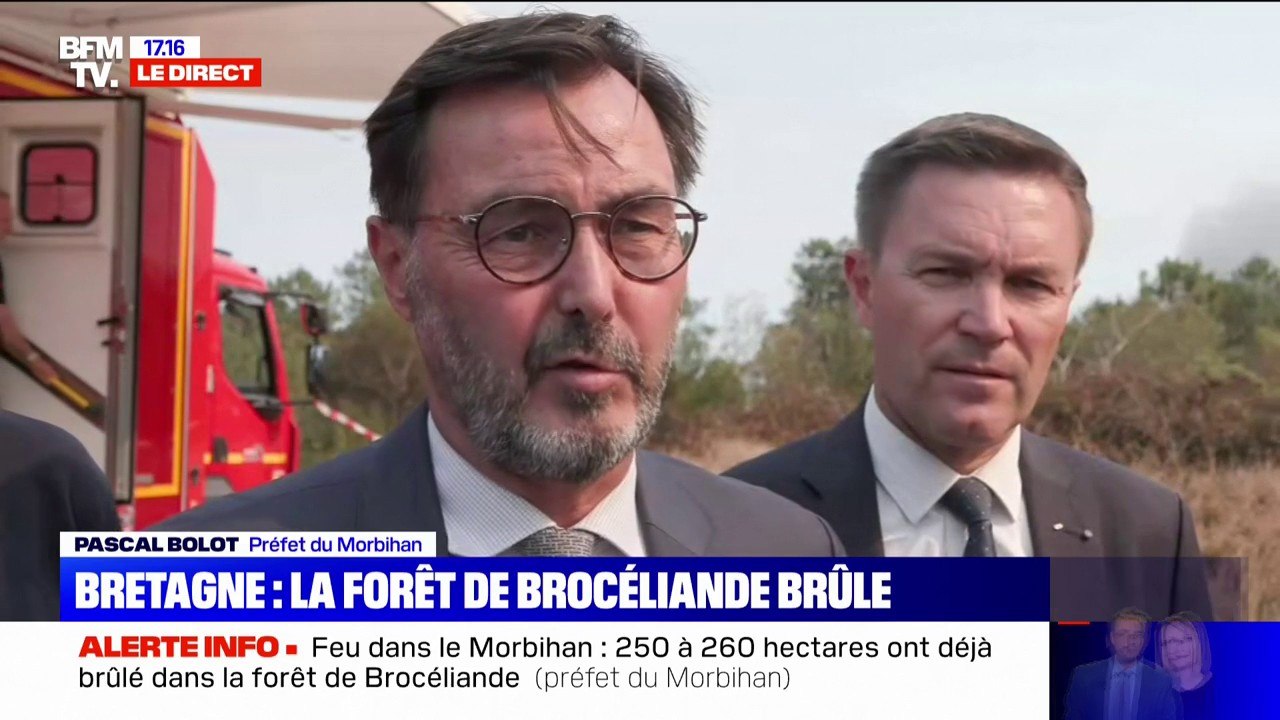 Incendie dans la forêt de Brocéliande: "250 à 260 hectares ont brûlé", affirme le préfet du Morbihan