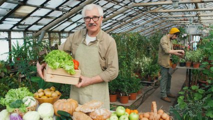 Il mercato della frutta sconta gli aumenti di energia e materie prime