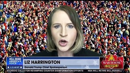 Liz Harrington: The only HOOKERS were sleeping with Hunter Biden!