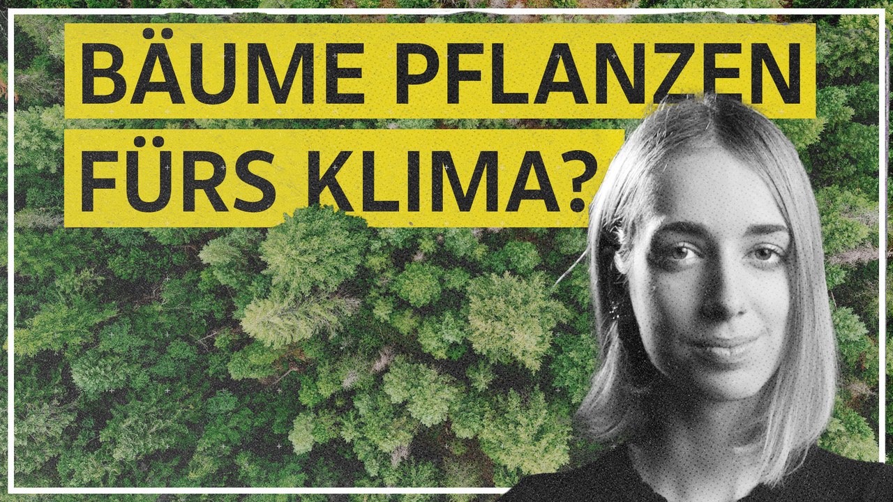 Mehr Bäume für einen lebenswerten Planeten? Ja, aber richtig