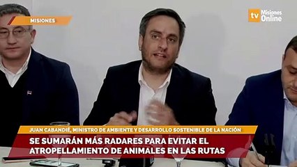 Se sumarán más radares para evitar el atropellamiento de animales en las rutas