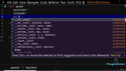 Multiple Child Classes Inheritance