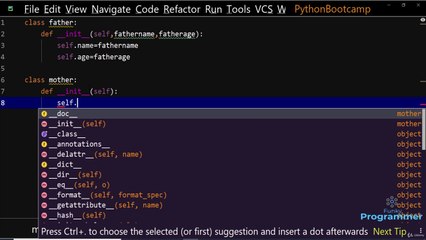 Multiple Inheritance